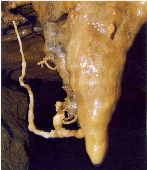 Exzentrik Rüblinger Höhle